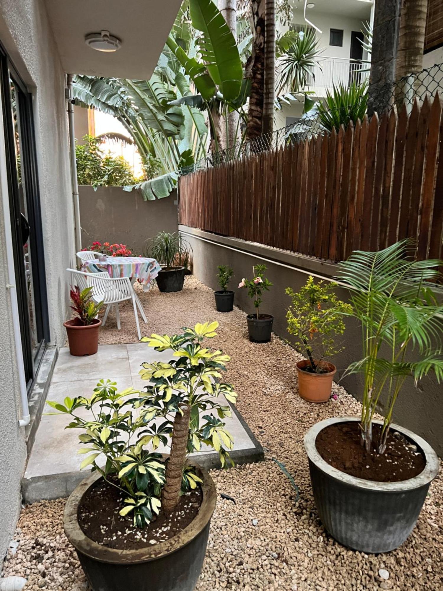Newly Renovated Studio Apartment With Rooftop Pool, Few Steps To The Beach Flic-en-Flacq エクステリア 写真